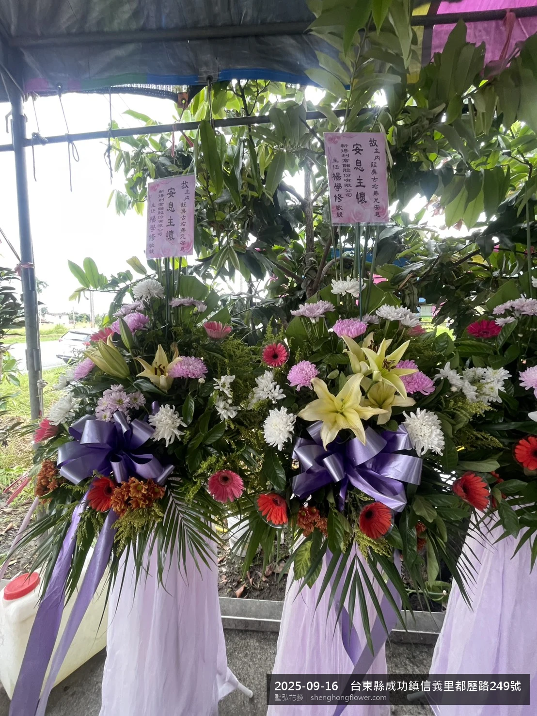 初秋微涼氣候轉爽下，台東成功信義里都歷路住家靈堂前光線柔和。我們選用高架白菊花籃，雙劍蘭挑高、黃菊鋪底，現場顯得素雅莊重，誠摯傳達對家屬的關懷，聖弘花藝在地團隊現場實拍照。