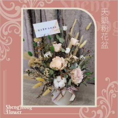 天鵝粉花盆 主圖