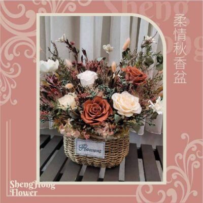 柔情秋香盆 主圖