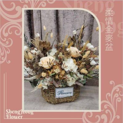 柔情金麥盆 主圖