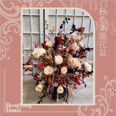 秋色滿園花盆 主圖