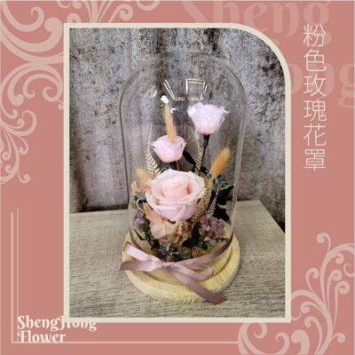 粉色玫瑰花罩 主圖