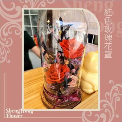 紅色玫瑰花罩 主圖