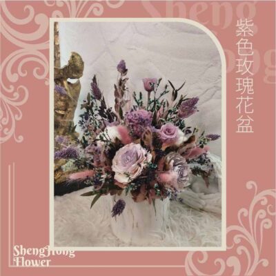 紫色玫瑰花盆 主圖
