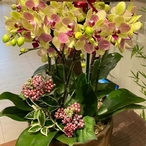 開幕花藍