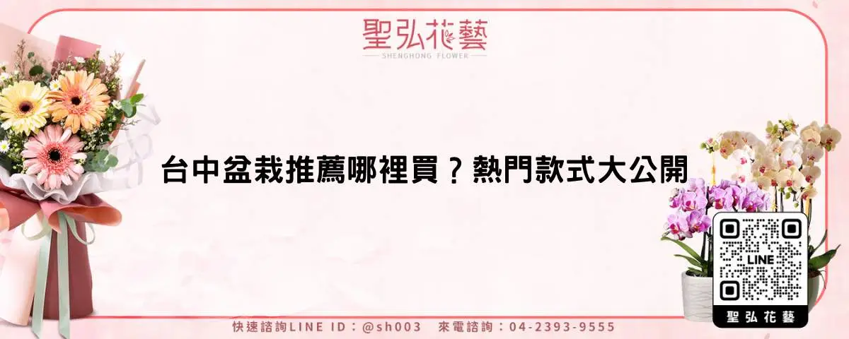 台中盆栽推薦哪裡買？熱門款式大公開