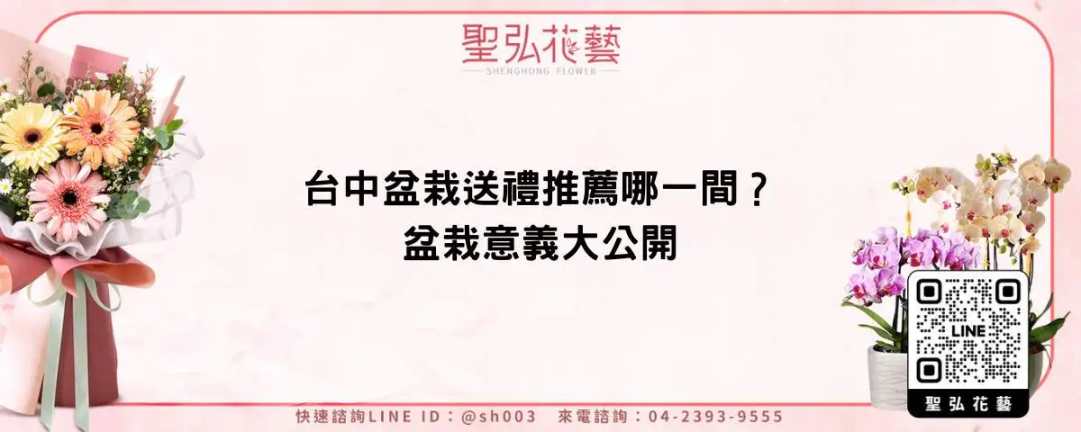 台中盆栽送禮推薦哪一間？盆栽意義大公開