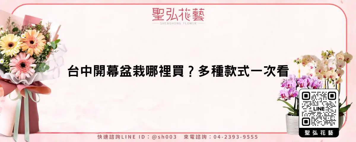 台中開幕盆栽哪裡買？多種款式一次看