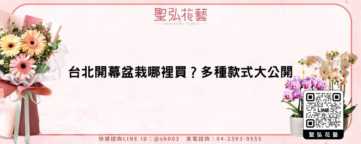 台北開幕盆栽哪裡買？多種款式大公開