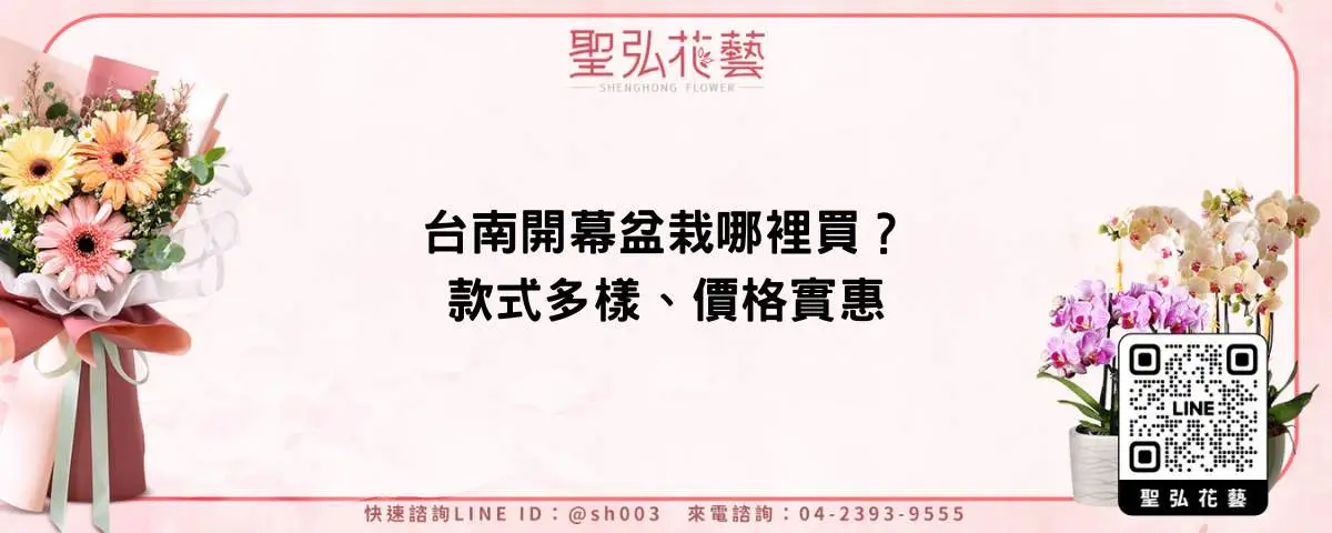 台南開幕盆栽哪裡買？款式多樣、價格實惠