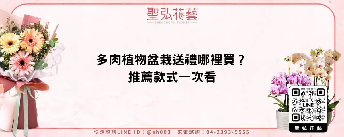多肉植物盆栽送禮哪裡買？推薦款式一次看