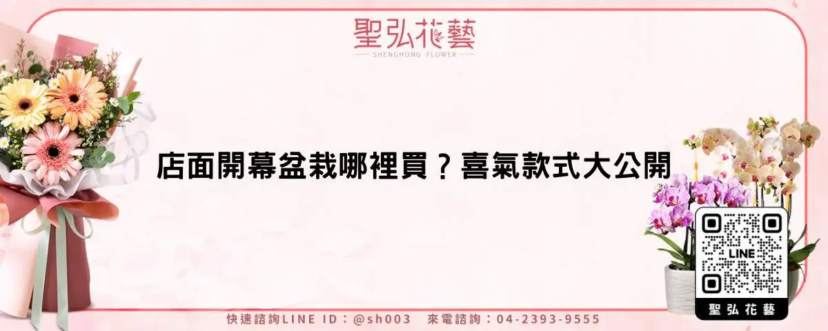 店面開幕盆栽哪裡買？喜氣款式大公開