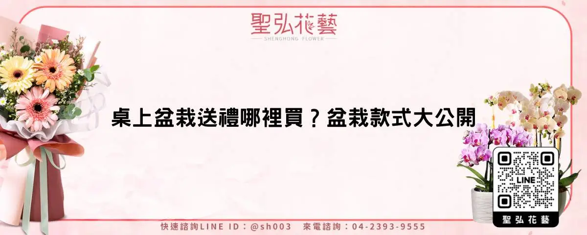 桌上盆栽送禮哪裡買？盆栽款式大公開