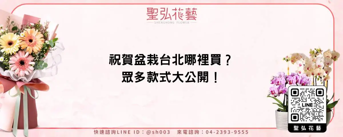祝賀盆栽台北哪裡買？眾多款式大公開！