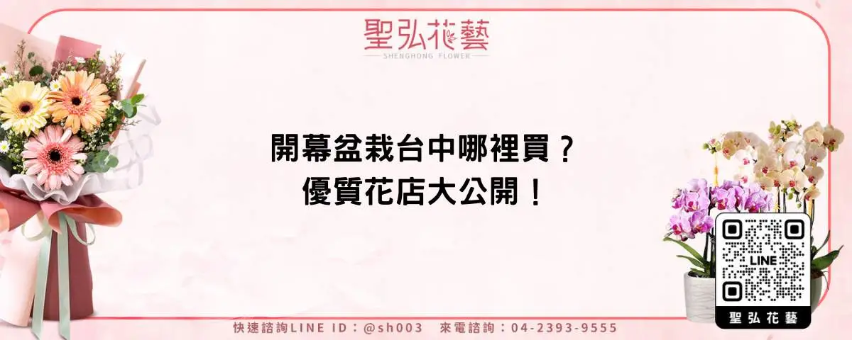開幕盆栽台中哪裡買？優質花店大公開！