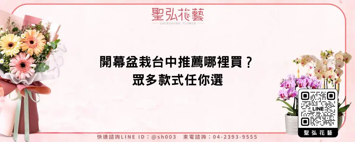 開幕盆栽台中推薦哪裡買？眾多款式任你選
