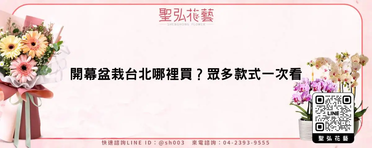 開幕盆栽台北哪裡買？眾多款式一次看