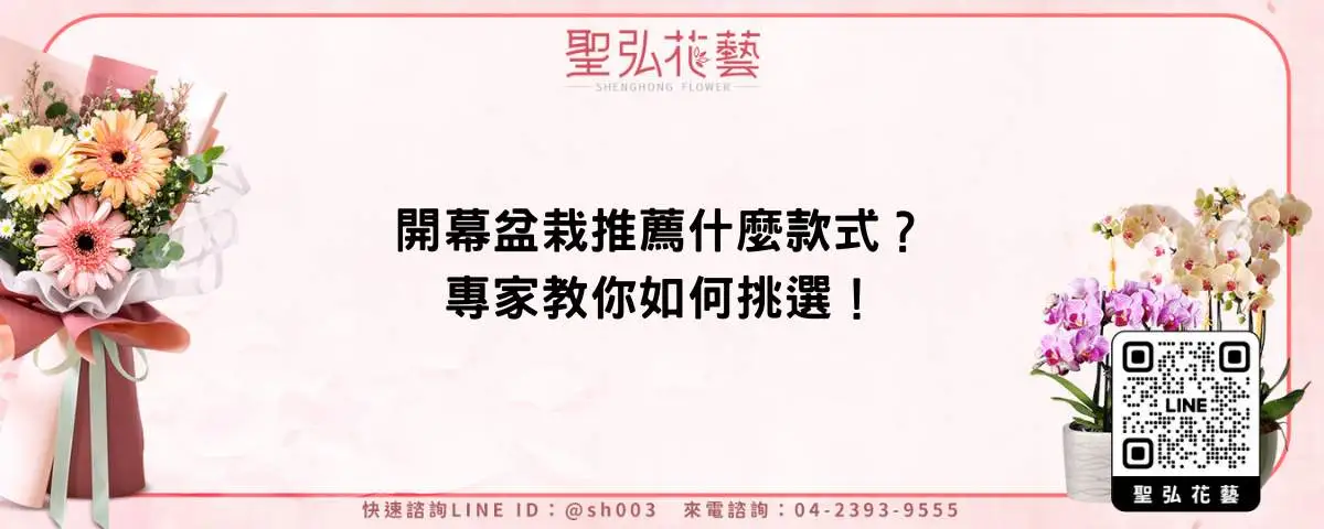 開幕盆栽推薦什麼款式？專家教你如何挑選！