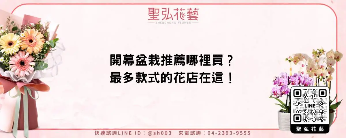 開幕盆栽推薦哪裡買？最多款式的花店在這！