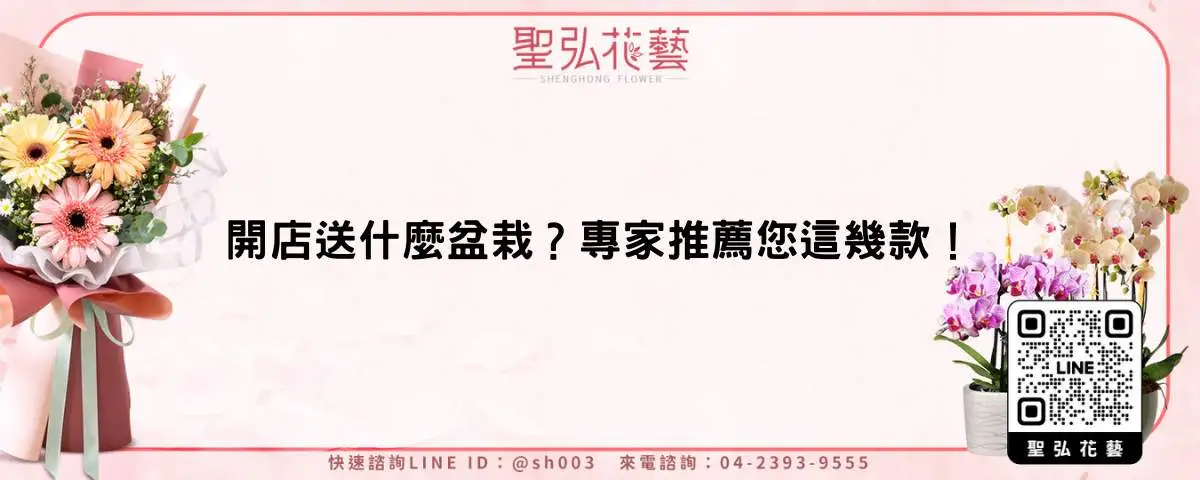 開店送什麼盆栽？專家推薦您這幾款！