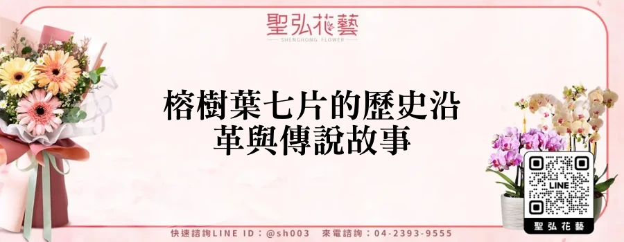 榕樹葉七片的歷史沿革與傳說故事