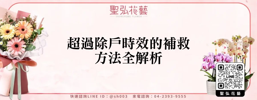 超過除戶時效的補救方法全解析