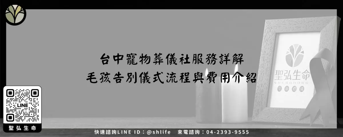 台中寵物葬儀社服務詳解－毛孩告別儀式流程與費用介紹