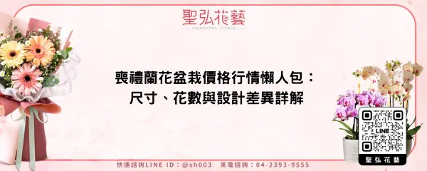 喪禮蘭花盆栽價格行情懶人包：尺寸、花數與設計差異詳解
