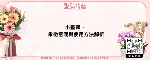 小靈獅 - 象徵意涵與使用方法解析