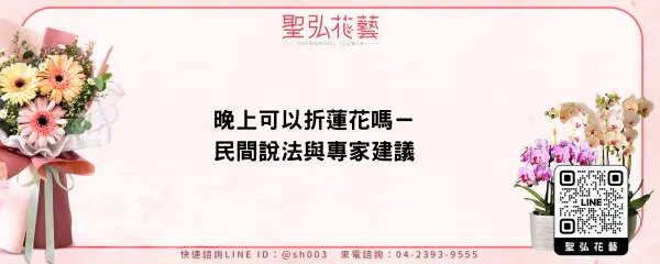 晚上可以折蓮花嗎－民間說法與專家建議