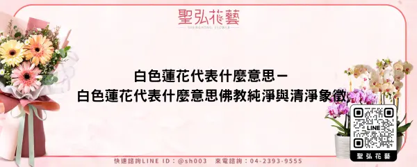 白色蓮花代表什麼意思－白色蓮花代表什麼意思佛教純淨與清淨象徵
