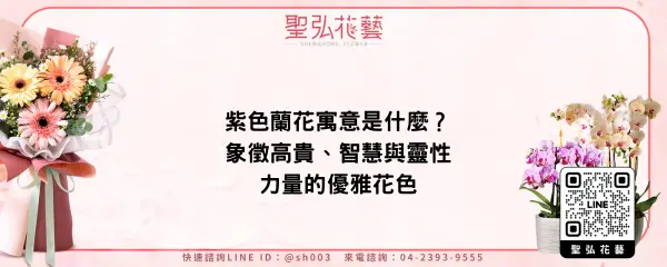 紫色蘭花寓意是什麼？象徵高貴、智慧與靈性力量的優雅花色