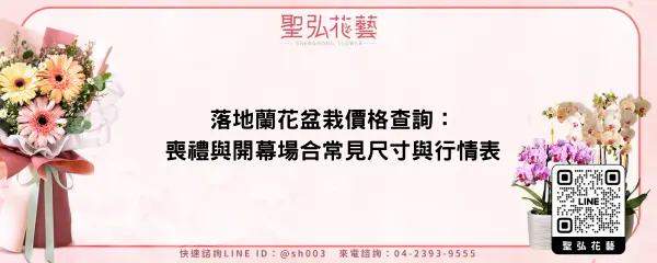 落地蘭花盆栽價格查詢：喪禮與開幕場合常見尺寸與行情表