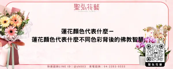 蓮花顏色代表什麼－蓮花顏色代表什麼不同色彩背後的佛教智慧