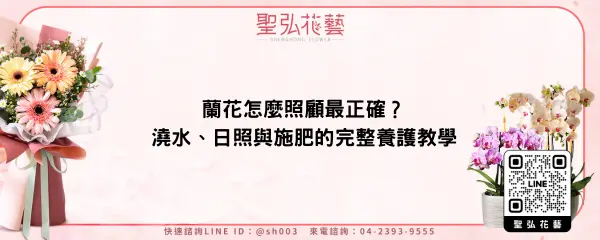 蘭花怎麼照顧最正確？澆水、日照與施肥的完整養護教學