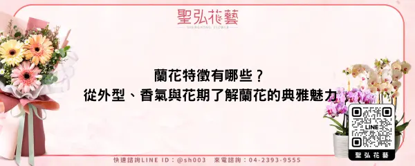 蘭花特徵有哪些？從外型、香氣與花期了解蘭花的典雅魅力