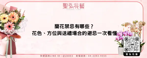 蘭花禁忌有哪些？花色、方位與送禮場合的避忌一次看懂