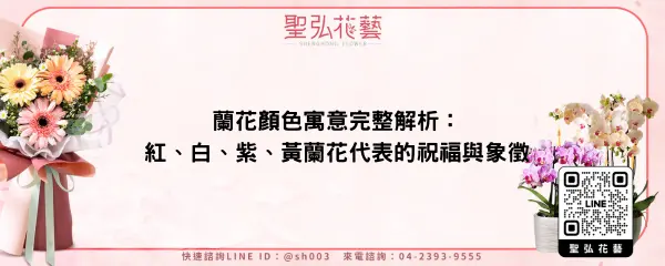 蘭花顏色寓意完整解析：紅、白、紫、黃蘭花代表的祝福與象徵