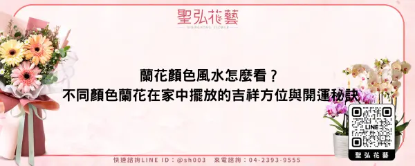 蘭花顏色風水怎麼看？不同顏色蘭花在家中擺放的吉祥方位與開運秘訣