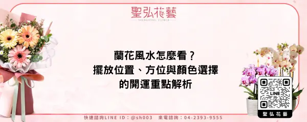 蘭花風水怎麼看？擺放位置、方位與顏色選擇的開運重點解析
