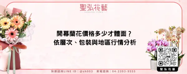 開幕蘭花價格多少才體面？依層次、包裝與地區行情分析