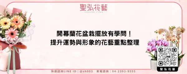 開幕蘭花盆栽擺放有學問！提升運勢與形象的花藝重點整理
