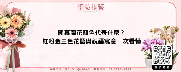 開幕蘭花顏色代表什麼？紅粉金三色花語與祝福寓意一次看懂
