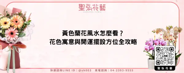 黃色蘭花風水怎麼看？花色寓意與開運擺設方位全攻略
