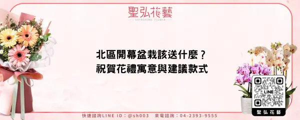 北區開幕盆栽該送什麼？祝賀花禮寓意與建議款式