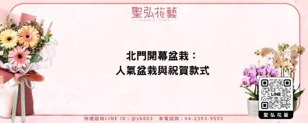 北門開幕盆栽：人氣盆栽與祝賀款式