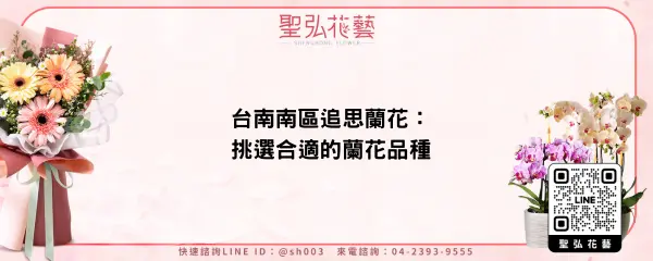 台南南區追思蘭花：挑選合適的蘭花品種