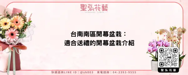 台南南區開幕盆栽：適合送禮的開幕盆栽介紹