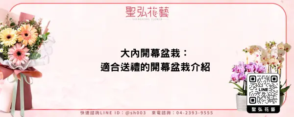 大內開幕盆栽：適合送禮的開幕盆栽介紹