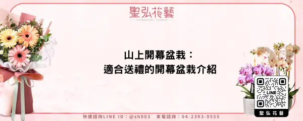 山上開幕盆栽：適合送禮的開幕盆栽介紹